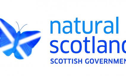 Are you looking to save fuel