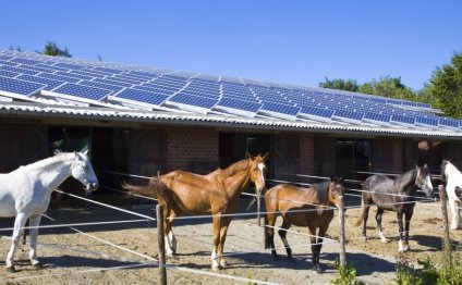 Solar Energy for Agriculture
