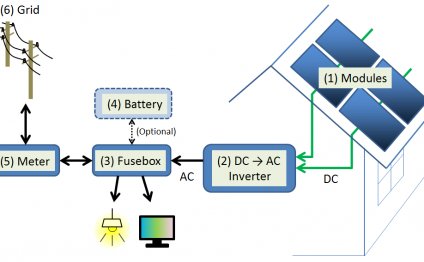 Classification[edit]