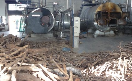 Ashram also has a wood