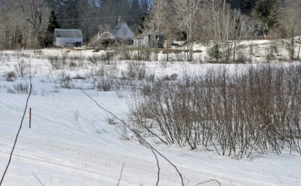 Solar power development