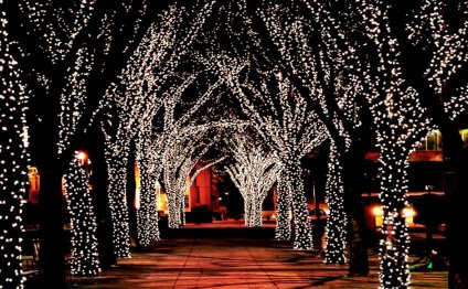 LED Solar Powered Fairy Lights