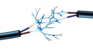 3. How much solar powered energy can you expect you'll obtain?