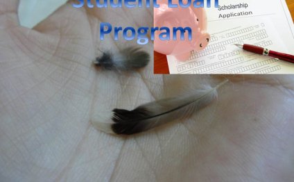 Home solar power systems cost