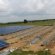 Solar power plants in Andhra Pradesh