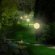 Solar Powered Landscape Lighting