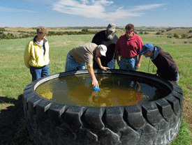 Kestel points to a sensor that creates water to-be moved to a watering container on Dick Lester's pasture in Larrabee, IA. (L-R) Cherokee County District Conservationist Renee Braun, Kestel, Dewey Stouffer of Little Sioux Prairie Company, NRCS State Grassland professional Brian Peterson, and Jim Stanzel of minimal Sioux Prairie appearance on