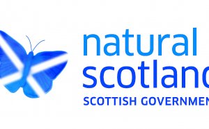 Energy Saving Trust solar panels