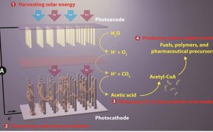 Solar energy Nanotechnology