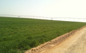 Solar powered irrigation systems