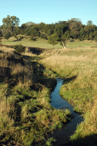 Streambanks on Dick Lester's pasture are recuperating after one 12 months with the improvements to his grazing system.