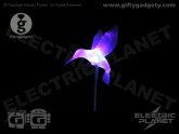 Solar Powered Hummingbird Lights