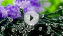 led solar string lights for garden