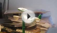 solar powered plane model
